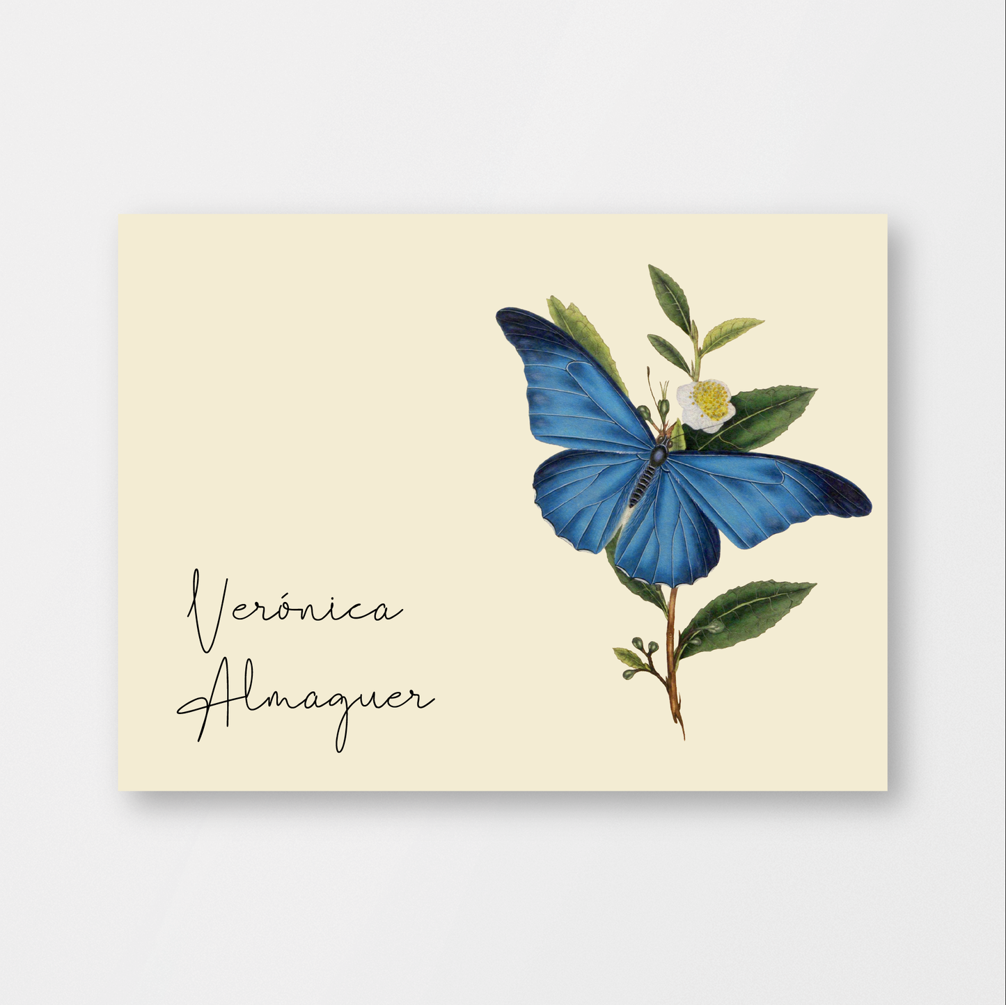 Blue Morpho Card