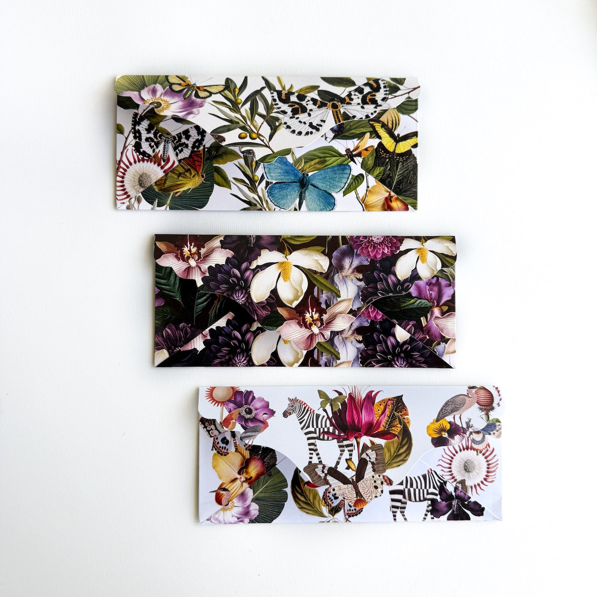 Lucy Money Holders Box