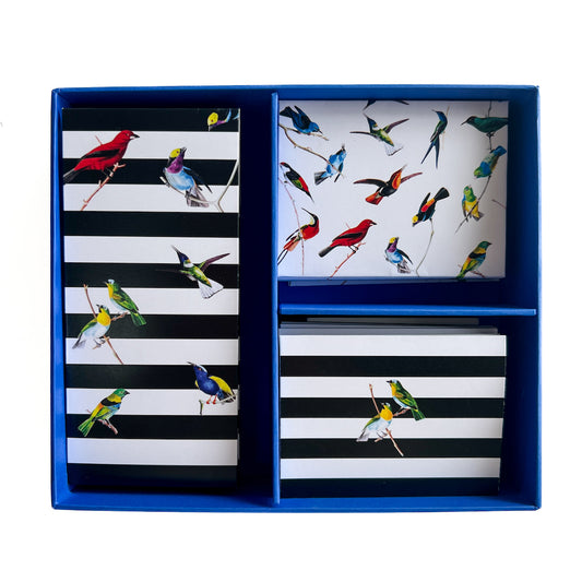 Exotic Birds Blue Box