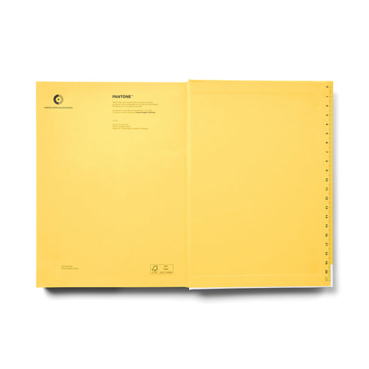 Pantone Large Notebook Dotted - Yellow