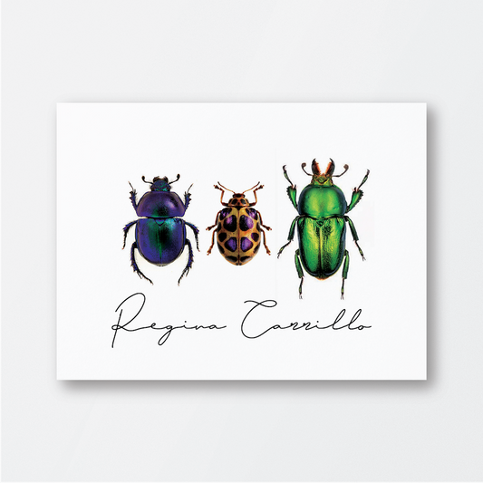Beetles Card