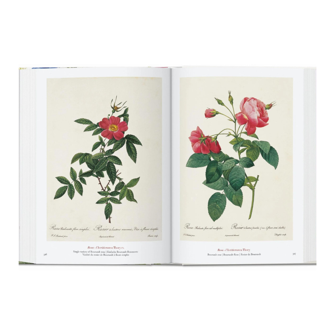 Redoute The Book of flowers