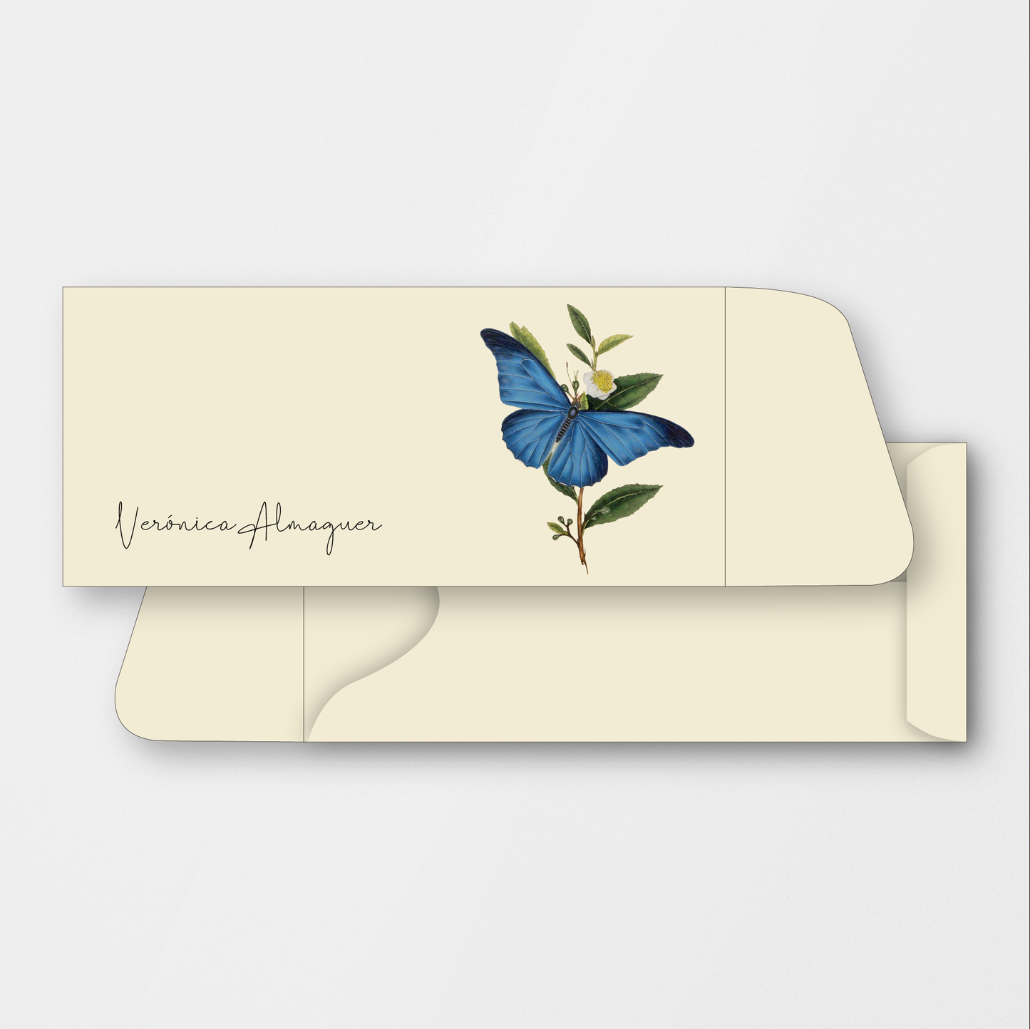 Blue Morpho Money Holder