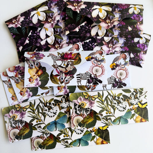 Lucy Money Holders Box