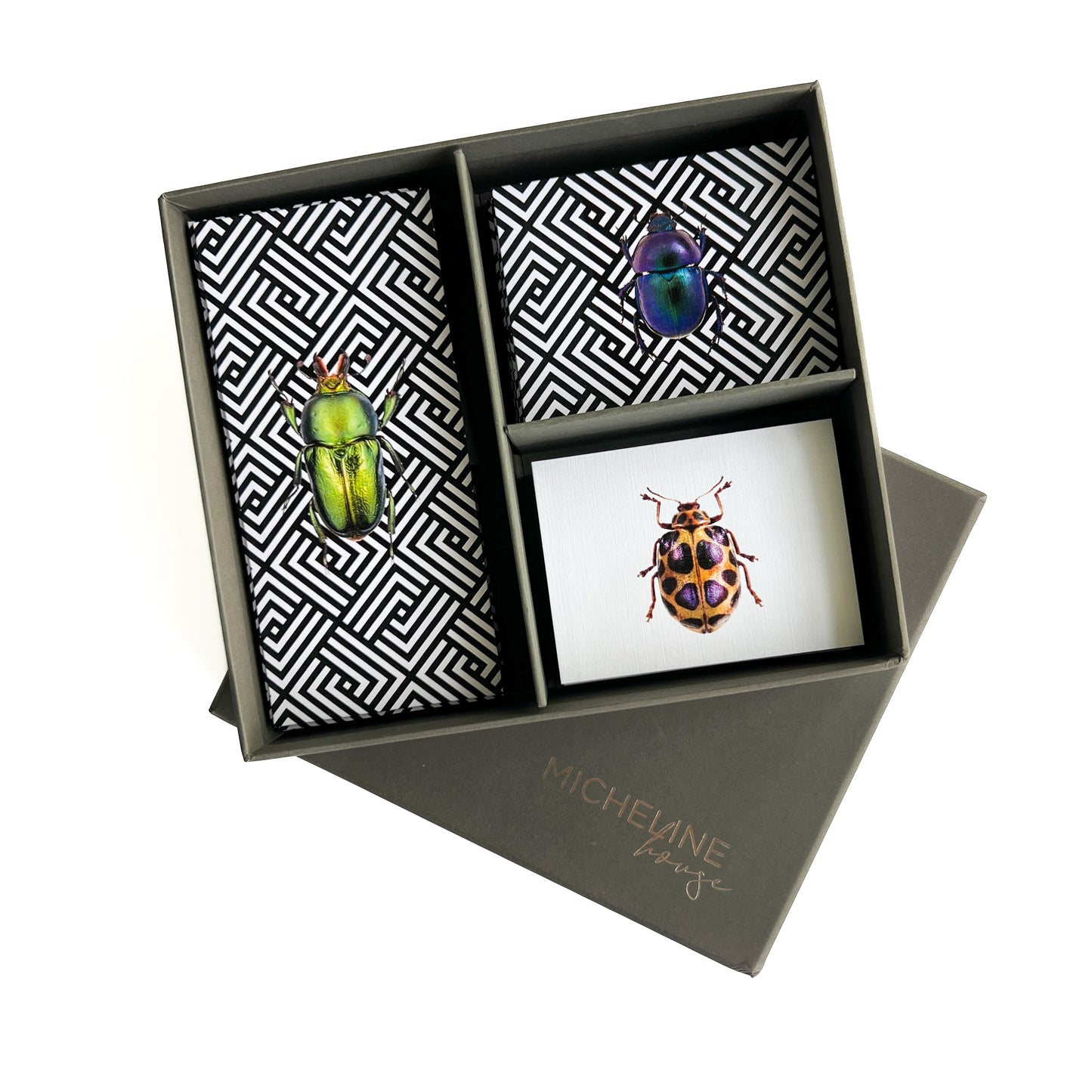 Bugs Stationery Grey Box