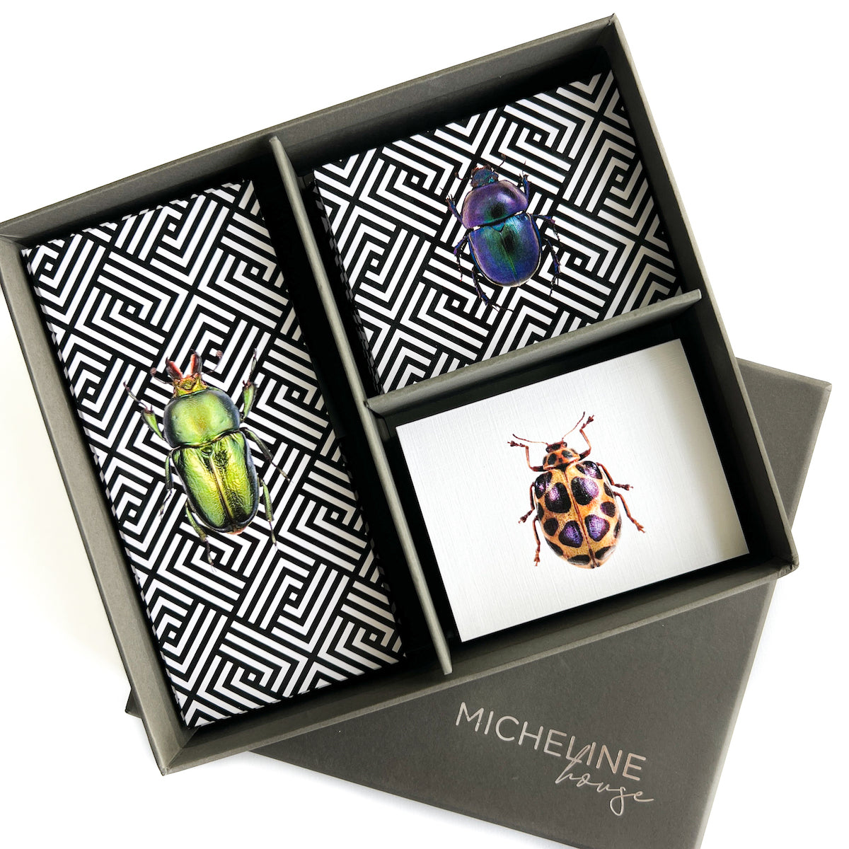 Bugs Stationery Grey Box