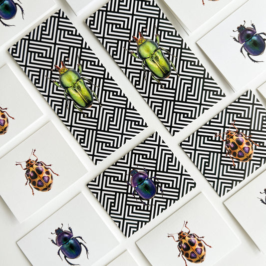 Bugs Stationery Grey Box