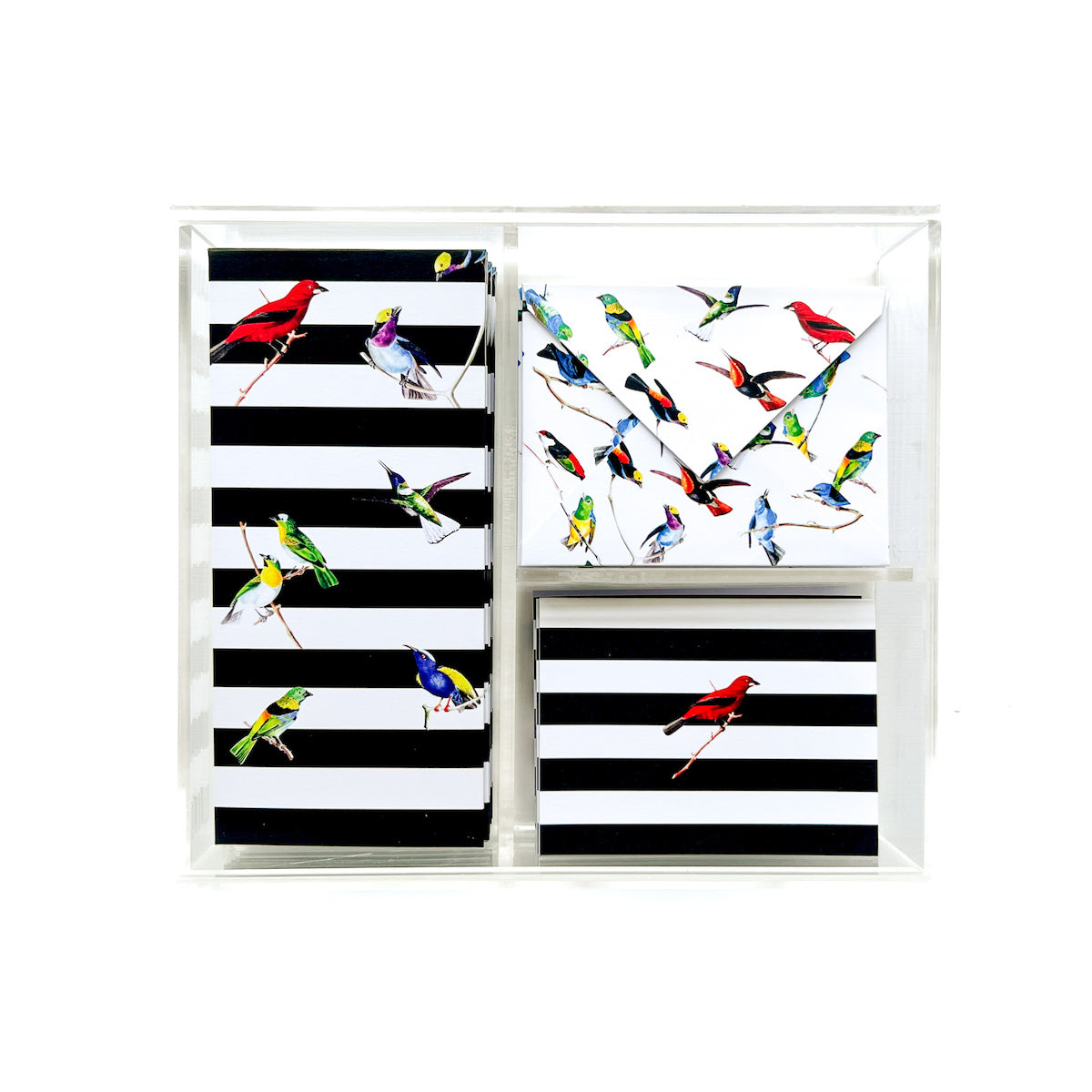 Acrylic Exotic Birds Stationery Box
