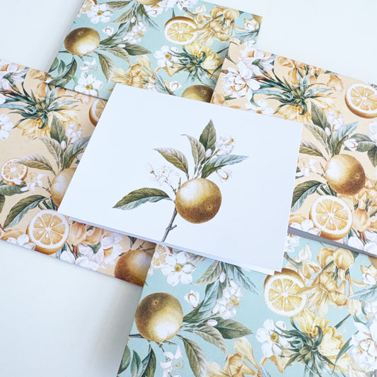 Citrus Grey Stationery Box