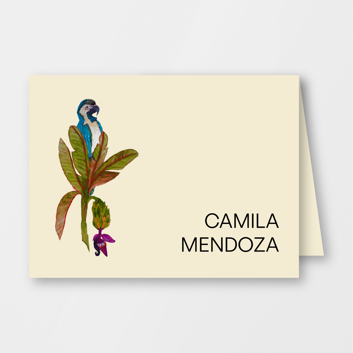 Jungle Blue Macaw Card & Envelope