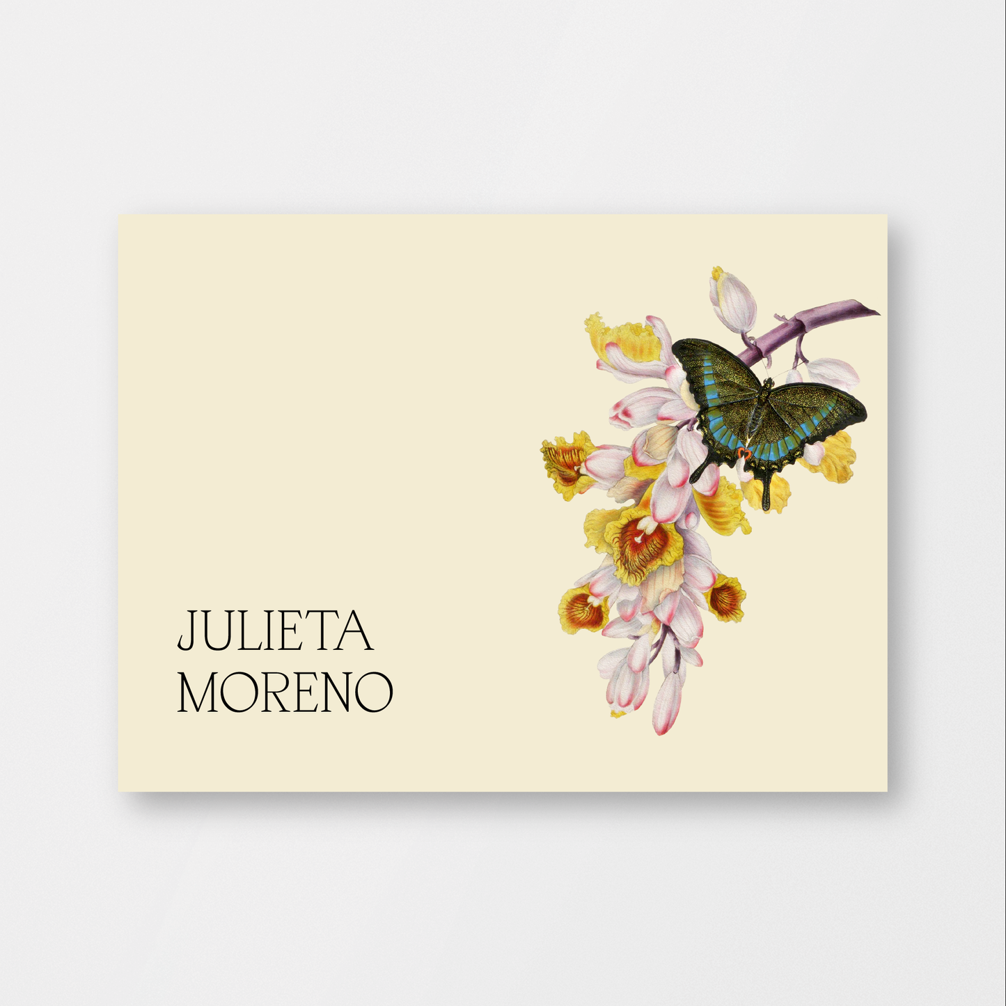 Orchid Butterfly Card