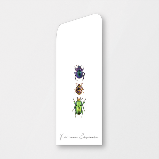 Beetles Money Holder