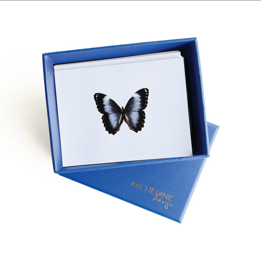Lucy Blue Box