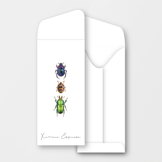 Beetles Money Holder