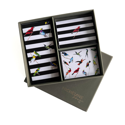 Exotic Birds Grey Box