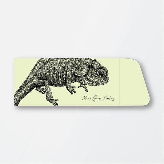 Chameleon Money Holder