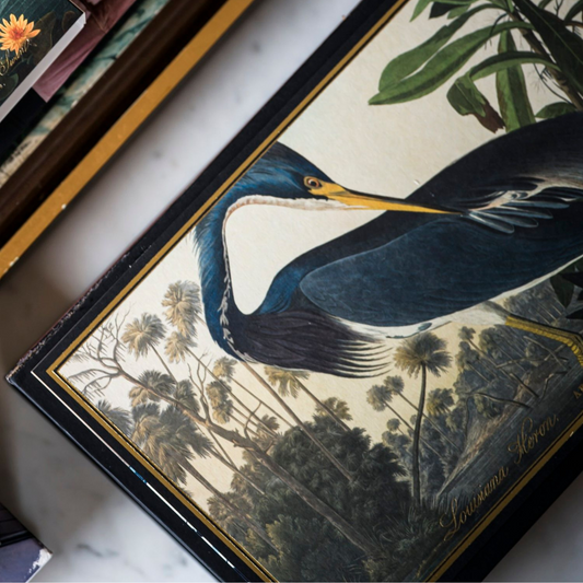 Match Box - Louisiana Heron Giant