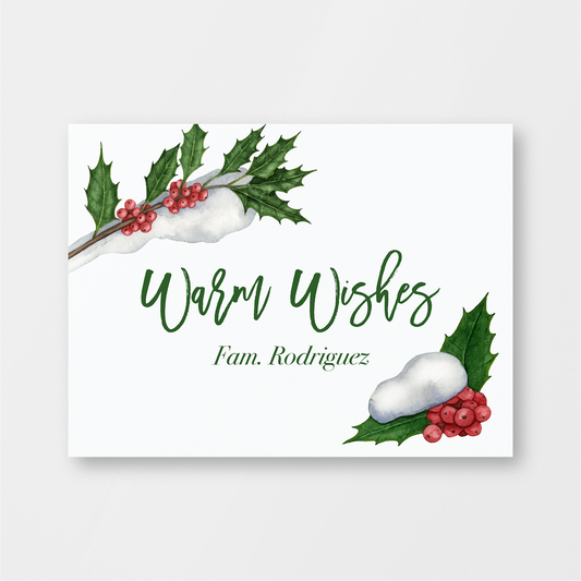 Mistletoe Warm Wishes Card