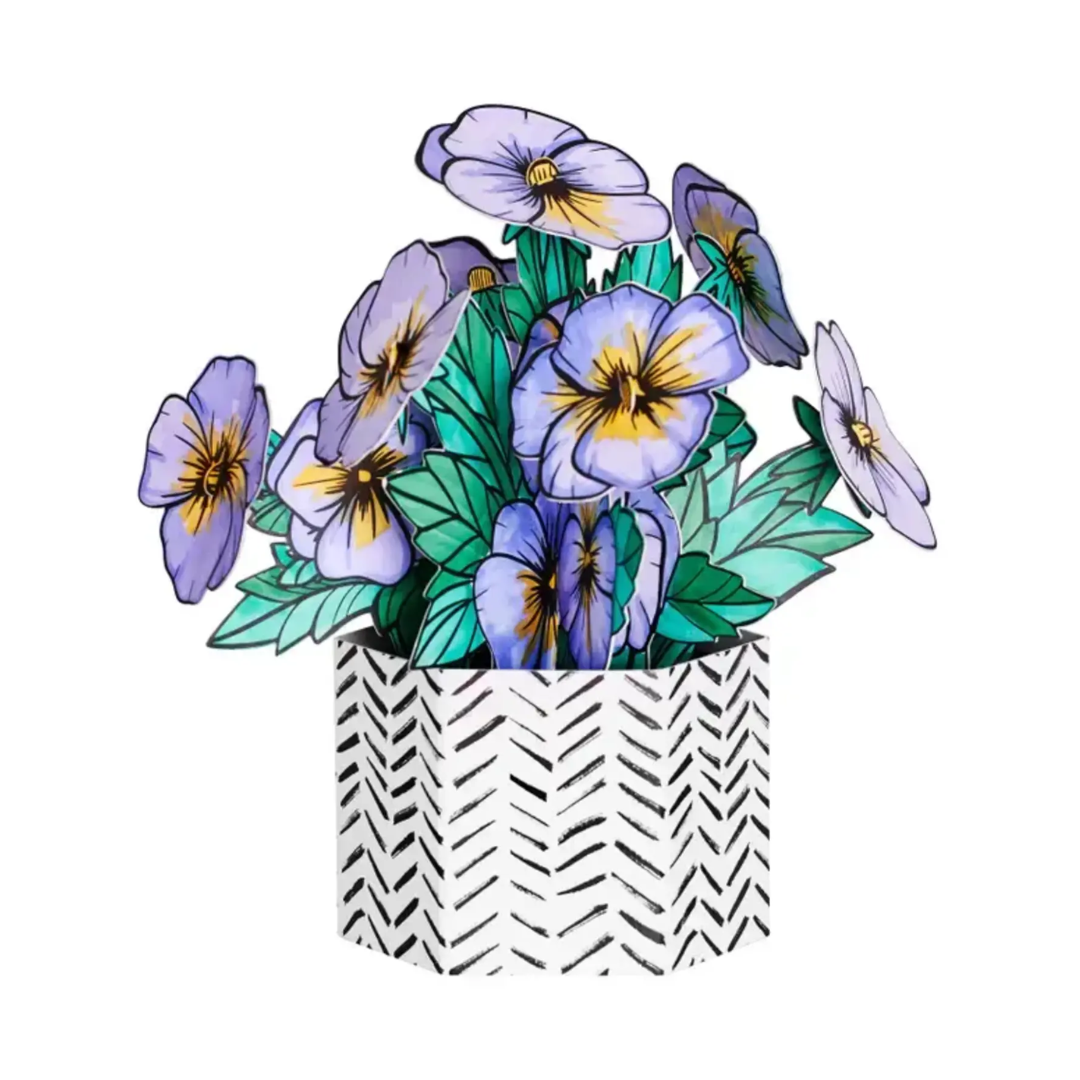 Pop Up Coloring  - Pansy