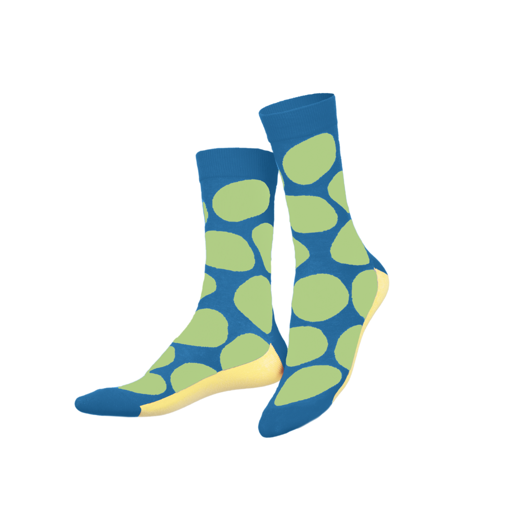 Salty Chips, Blue Socks