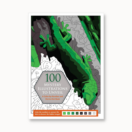 100 Mystery Illustrations book