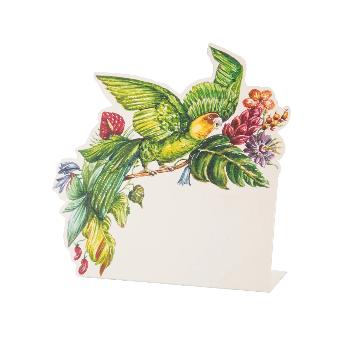 Parrot Place Card