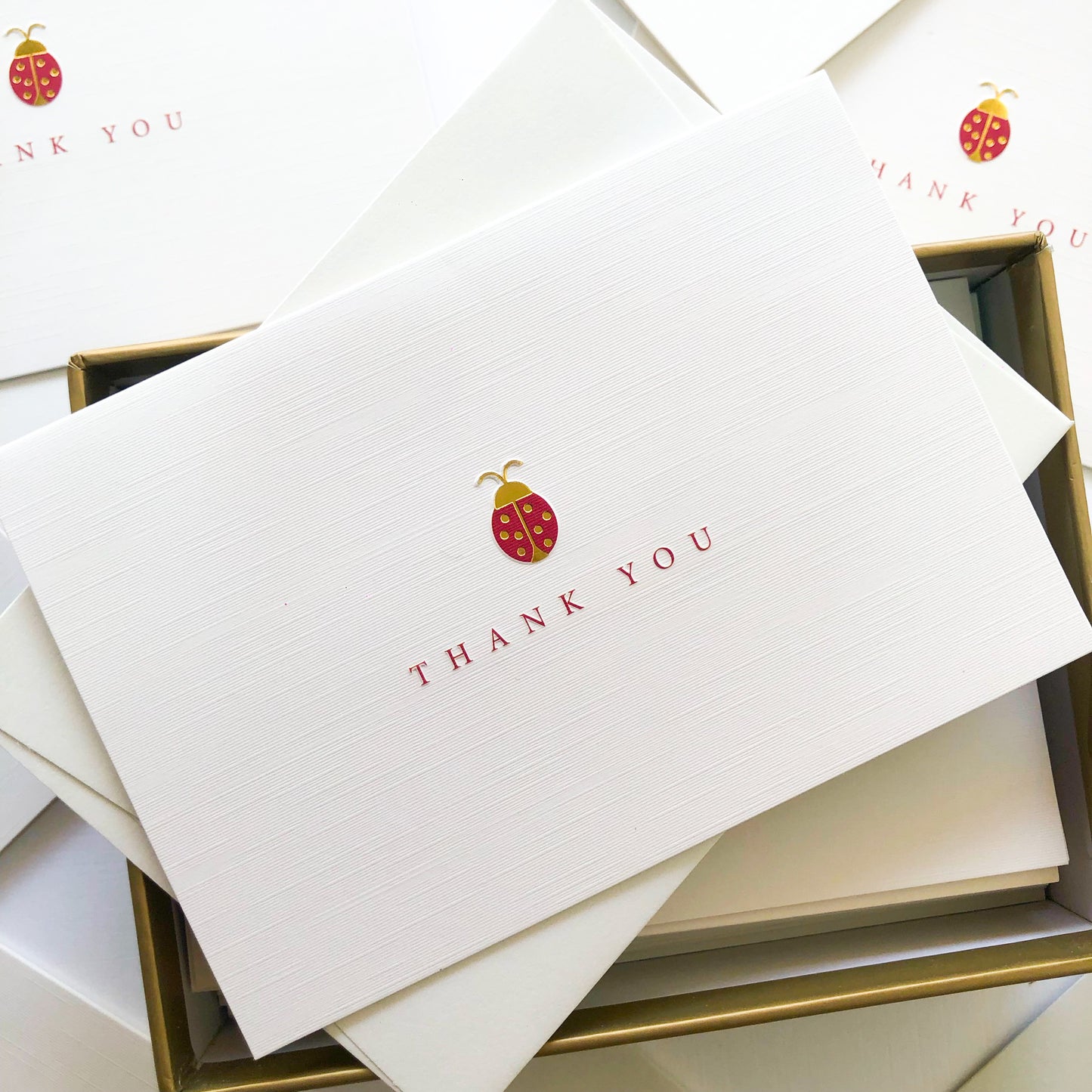 Lady Bug Boxed Thank You Notes