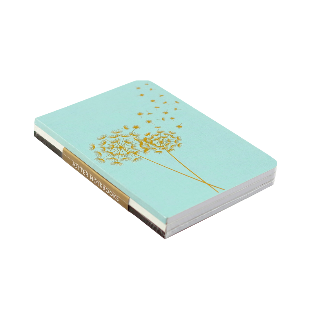 Jotter Mini Notebook Set: Dandelion Wishes