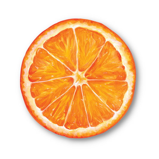 Die Cut Orange Slice Placemats