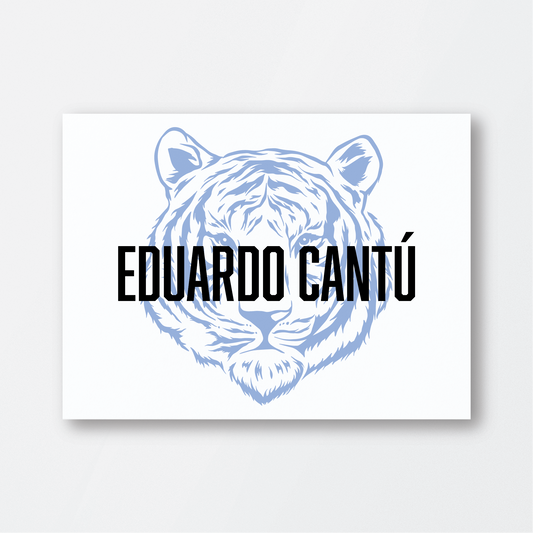 Blue Tiger Card